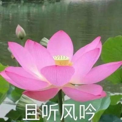【境内疫情观察】广东新增48例本土病例（2月26日）